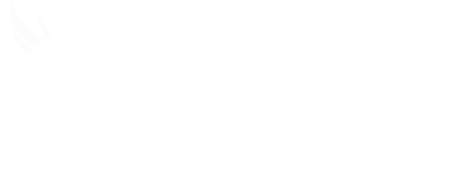 B-Fly logo